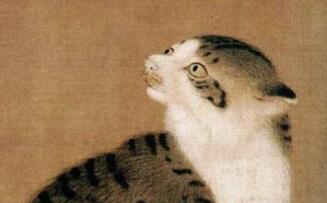 ϡūСӰͼжమè